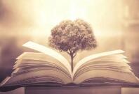 AMI Paris马年意象下的温和表达，LOEWE以马为引点亮新岁的勇气与想象｜是日美好事物|界面新闻 · 时尚