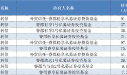 私募成可转债市场大玩家！累计持仓近2600万张，多家知名私募参与|界面新闻