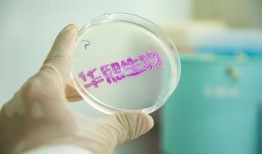 华熙生物：短期波动下的长期价值锚点|界面新闻