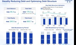 龙湖2024年营收1274.7亿，“债务安全优先于增量投资”|界面新闻 · 地产