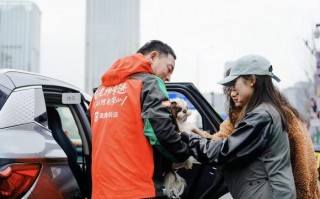 滴滴快送宠物专送：为宠物商家节省成本 扩大服务范围|界面新闻