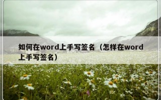 如何在word上手写签名（怎样在word上手写签名）