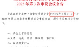 IPO雷达｜药明系投资的汉邦科技将上会：专利诉讼未了，成倍扩增产能如何消化？|界面新闻 · 证券