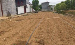 【深度】河南小麦收割进度过半，重旱影响几何？|界面新闻 · 中国