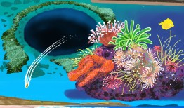 百慕大的红月亮——日记五则|界面新闻 · 旅行