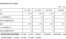 金融人·事｜夹缝中的股份行新抉择：城商行Plus?|界面新闻