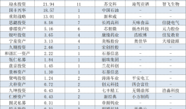 高毅、玄元、重阳重仓股大曝光！百亿私募443亿元都买了啥？|界面新闻