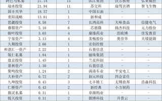 高毅、玄元、重阳重仓股大曝光！百亿私募443亿元都买了啥？|界面新闻