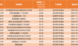 【深度】FOF“豹变”：重塑资产配置之路|界面新闻