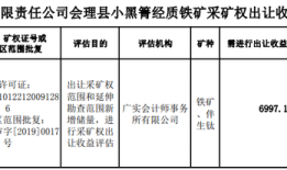 65亿元钒钛磁铁矿资源争夺战，安宁股份笑到了最后？|界面新闻 · 证券