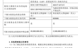 三日内限购额从100元到2000万元再到100元，海富通这只基金在做什么？|界面新闻