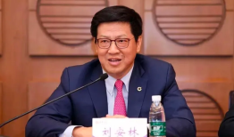 利用职务便利侵吞公共财产，中国人寿财险原总裁刘安林被开除党籍|界面新闻