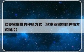 软枣猕猴桃的种植方式（软枣猕猴桃的种植方式图片）
