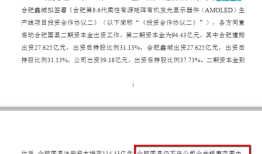 财说|负债高企下的技术豪赌：维信诺550亿押注合肥项目值不值？|界面新闻 · 证券