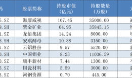 百亿私募一季度最新持仓来了，累计348亿元的“新宠旧爱”都有谁？|界面新闻