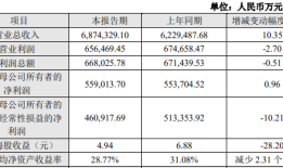 “非洲手机之王”传音控股业绩创新高背后：毛利率下行，四季度营收同比下滑|界面新闻 · 证券
