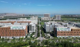 小试剂“勇闯”全球大市场！丹娜生物底气何在？|界面新闻