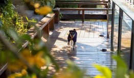 114城1133个“旅游度假酒店最优解”，2025年大众点评“必住榜”正式发榜|界面新闻