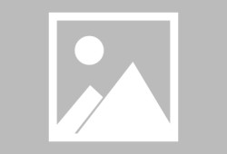 转学籍需要什么手续和条件（小学转学需要什么手续和条件）