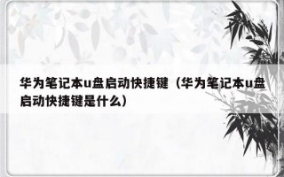 华为笔记本u盘启动快捷键（华为笔记本u盘启动快捷键是什么）