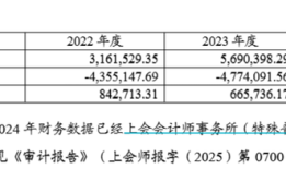 财说|稳定币新分支火爆出圈，上海物贸四连板，RDA究竟能带来什么？|界面新闻 · 证券