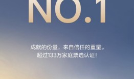 品牌净推荐值位居行业第一，理想怎么打动用户持续推荐？|界面新闻