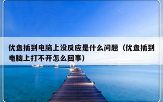 优盘插到电脑上没反应是什么问题（优盘插到电脑上打不开怎么回事）
