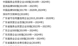 【深度】左手地产，右手金融：金雅福的野心与坠落|界面新闻