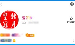 全球首位256级QQ用户诞生，解锁 “时光企鹅” 新图标|界面新闻 · 科技