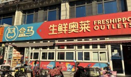 奥乐齐一觉醒来，盒马超盒算NB已激进南下|界面新闻