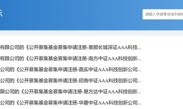 科创债ETF要来了！10家基金公司抢报，债券ETF进入“硬科技赛道”|界面新闻
