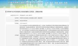 违反强制认证规定、虚假宣传，罗马仕被罚没超124万|界面新闻 · 科技