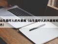 山东最吓人的大暴雨（山东最吓人的大暴雨地方）