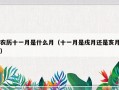 农历十一月是什么月（十一月是戌月还是亥月）