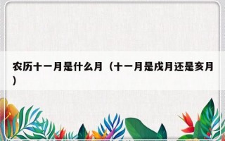 农历十一月是什么月（十一月是戌月还是亥月）