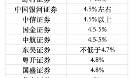 十大首席展望“十五五”经济增长|界面新闻