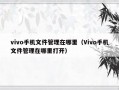 vivo手机文件管理在哪里（Vivo手机文件管理在哪里打开）