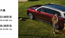 新车都难崭露头角，为何这一改款引发震动？|界面新闻