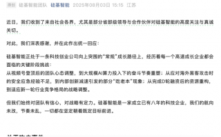 硅基智能疑似回应全员裁员争议：预计全年新增岗位数百个|界面新闻 · 科技