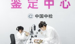 唯品会与中国中检奢侈品鉴定中心达成深度合作，首家接入其正品管理库|界面新闻