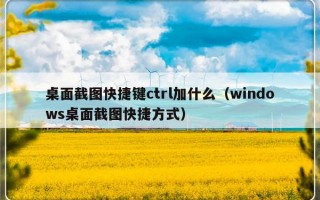 桌面截图快捷键ctrl加什么（windows桌面截图快捷方式）