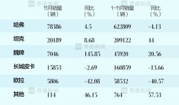 商业头条No.53｜长城汽车进退失据|界面新闻 · 汽车