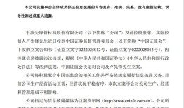 刚“摘帽”不到两月，先锋新材前实控人卢先锋遭证监会立案|界面新闻 · 证券