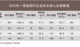 中国汽车产业现“恒大论”，但危机可能没想象的严重|界面新闻