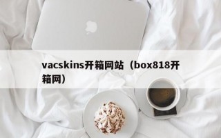 vacskins开箱网站（box818开箱网）