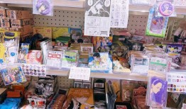 00后“谷子店”店主：把店开下去，成为城市里一个充满温度的角落 | 在春天许一个愿望|界面新闻 · 科技