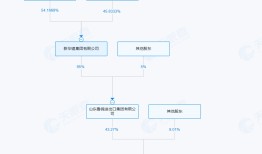 新华锦大股东资金占用困局待解，青岛啤酒的资产收购或难成“救命稻草”|界面新闻 · 证券