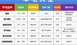 【深度】起底13.4亿元假国企理财骗局|界面新闻