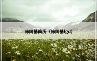 陈国基简历（陈国基lgd）