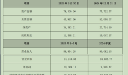 道恩股份近6亿“接下”SK旗下原料供应商，是一笔好买卖吗？|界面新闻 · 证券